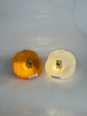 چراغ خواب کریستالی طرح کاپی بارا با نور زرد گرم Sofa Night Light